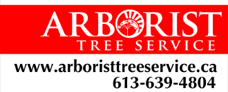 Arborist Tree Service